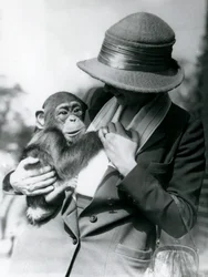 1922年6月、ロンドン動物園で若いチンパンジーを抱く女性